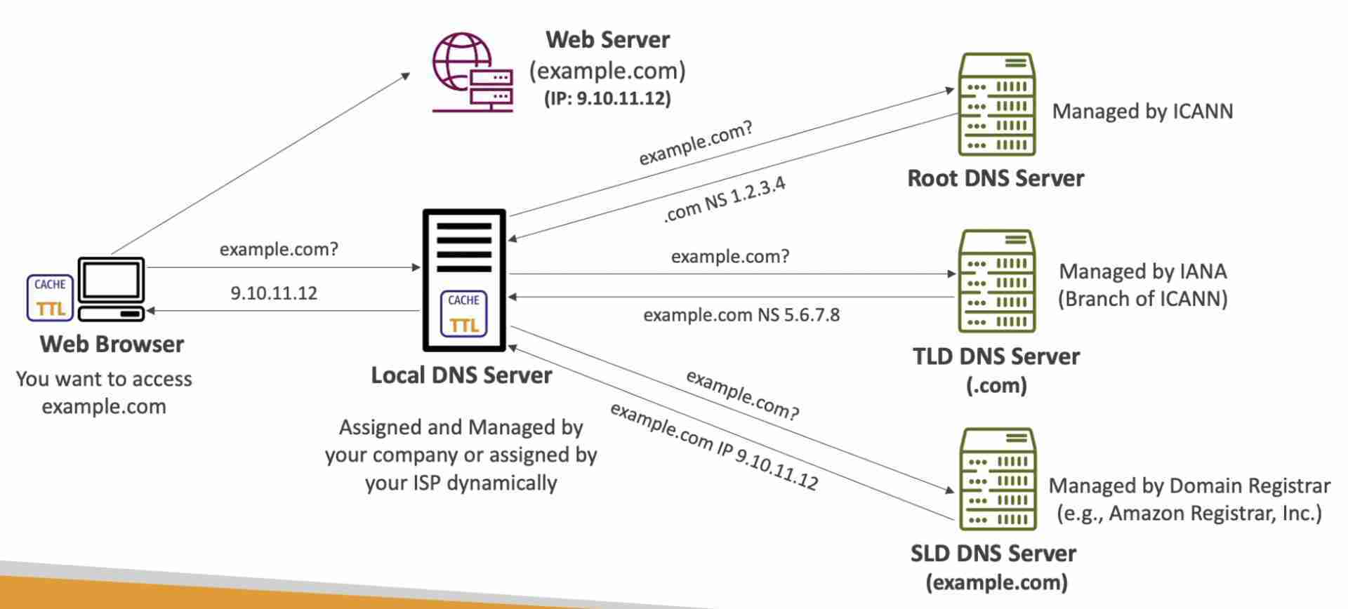 DNS Structure